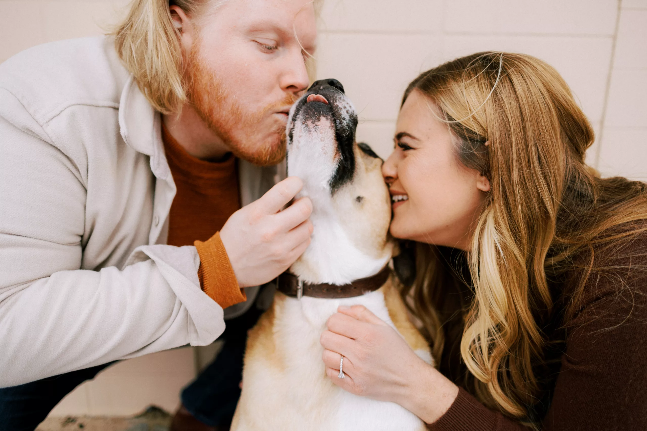 couple kisses their dog during their engagement session in madison, wisconsin