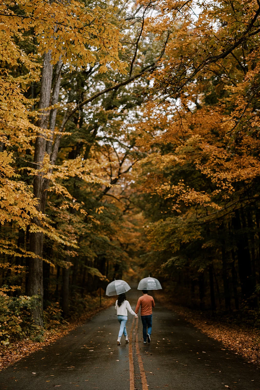 couple walks down a tree lined street during fall at the uw arboretum in madison wisconsin